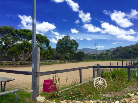 The Saddle Camp - South Australia Travel 2