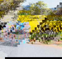 The Heron's Highway - Avon River Cycle Trail - South Australia Travel