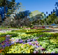 Toowoomba - South Australia Travel