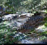 Towarri National Park - South Australia Travel