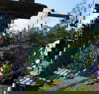 Trees Adventure - Lane Poole Park - South Australia Travel