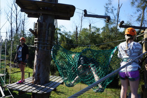 Trees Adventure - Lane Poole Park - South Australia Travel 0
