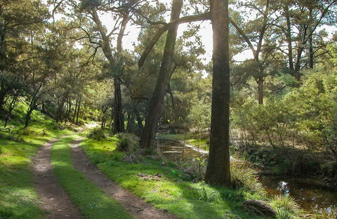 Turon National Park - South Australia Travel 0