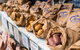 Warragul Farmers Market - thumb 2