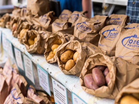 Warragul Farmers Market - South Australia Travel 2