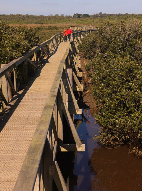 Warringine Park & Bittern Coastal Wetlands Boardwalk - South Australia Travel 0