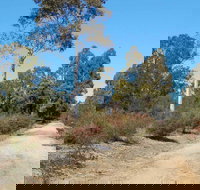 Werakata National Park - South Australia Travel