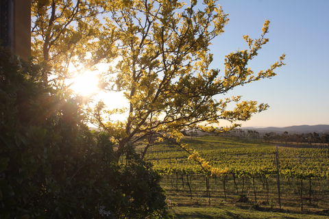 Wine Trail: Queanbeyan-Palerang - South Australia Travel 1