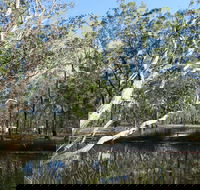 Wongi State Forest - South Australia Travel