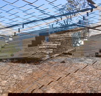 Aboriginal Carvings - South Australia Travel