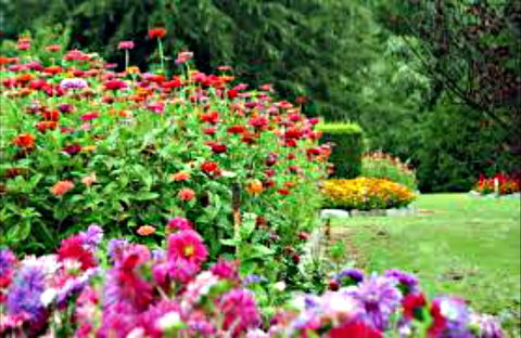 Alma Park - South Australia Travel 0