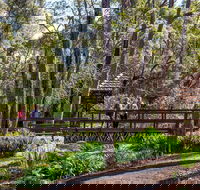 Armadale - South Australia Travel