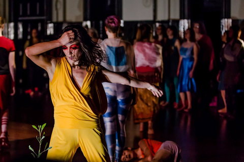 Arts House - South Australia Travel 0