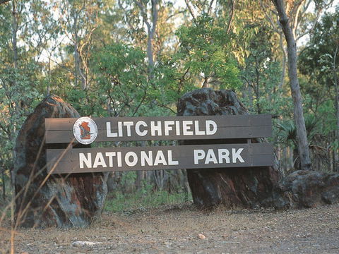 Bamboo Creek Tin Mine - South Australia Travel 1