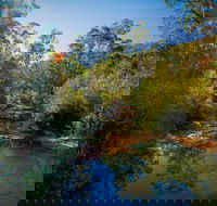 Bargo State Conservation Area - South Australia Travel