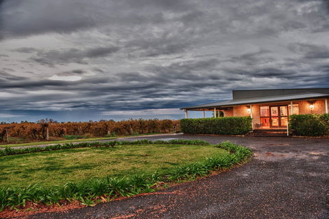 Baratto Wines - South Australia Travel 1