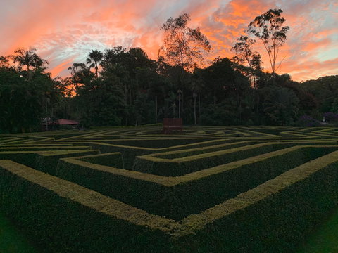 Bellingham Maze - South Australia Travel 0