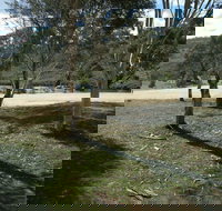 Bombala Platypus Reserve - South Australia Travel