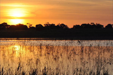 Bool Lagoon Game Reserve And Hacks Lagoon Conservation Park - South Australia Travel 0