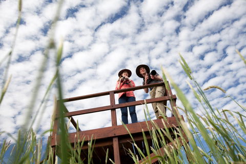 Bool Lagoon Game Reserve And Hacks Lagoon Conservation Park - South Australia Travel 1