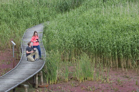 Bool Lagoon Game Reserve And Hacks Lagoon Conservation Park - South Australia Travel 2