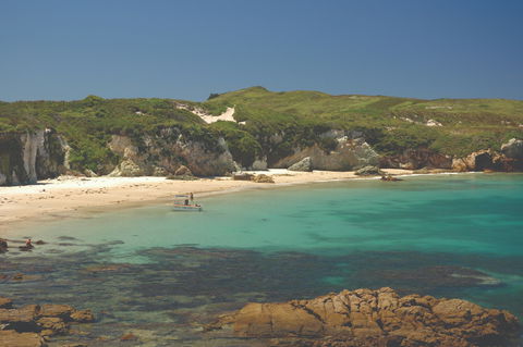 Broughton Island - South Australia Travel 1