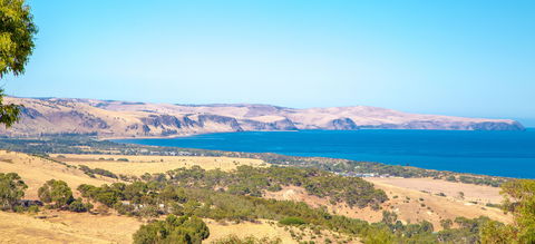 Carrickalinga Lookout - South Australia Travel 0