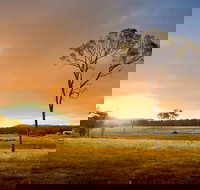 Cooyar - South Australia Travel