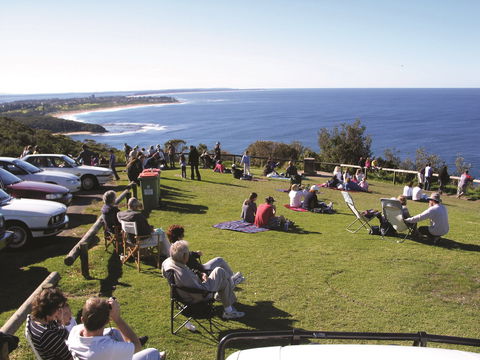 Crackneck Point Lookout - South Australia Travel 0