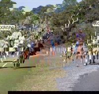 Dayboro - South Australia Travel