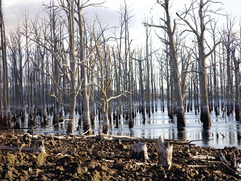 Derwent Valley And Central Highlands - South Australia Travel 1