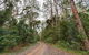 End Peak Walking Track - thumb 0
