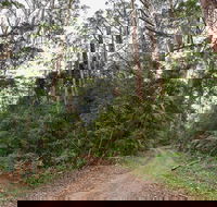 End Peak walking track - South Australia Travel