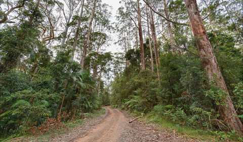 End Peak Walking Track - South Australia Travel 0