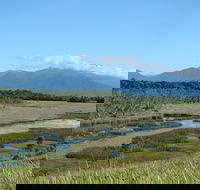 Eubenangee Swamp National Park - South Australia Travel