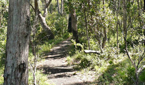 Euglah Rock Walking Track - South Australia Travel 0