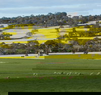 Fini Olives - South Australia Travel
