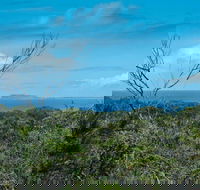Forest Walking Track Crowdy Bay National Park - South Australia Travel