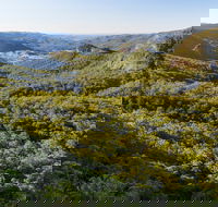 Gold Coast Hinterland Great Walk - South Australia Travel