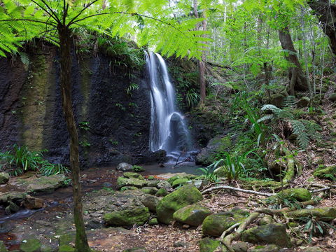 Gold Coast Hinterland Great Walk - South Australia Travel 1