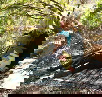 Haig Street Quarry Bushland Reserve Trails - South Australia Travel