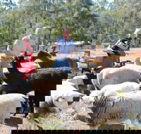 Haigslea EWE Nique Hobby Farm - South Australia Travel