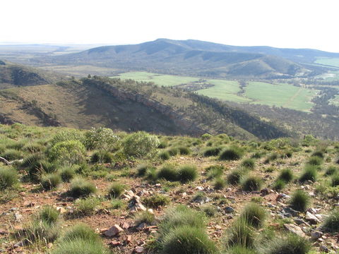 Horseshoe Rim 4WD Adventure Track - South Australia Travel 0