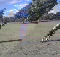 Inverell Golf Club - South Australia Travel