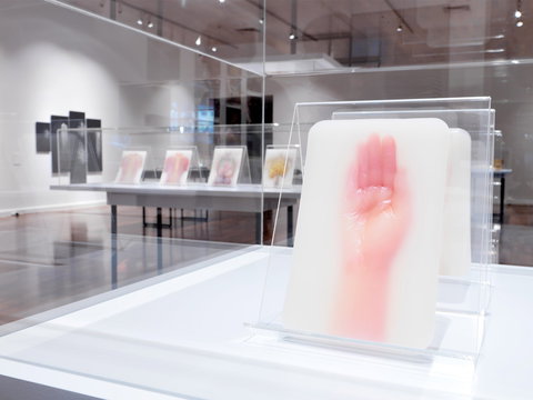 JamFactory - South Australia Travel 2