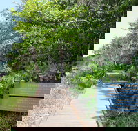 Kennedy Walking Track - South Australia Travel