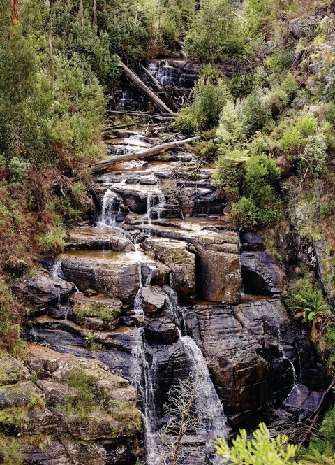 Kinglake National Park - South Australia Travel 1