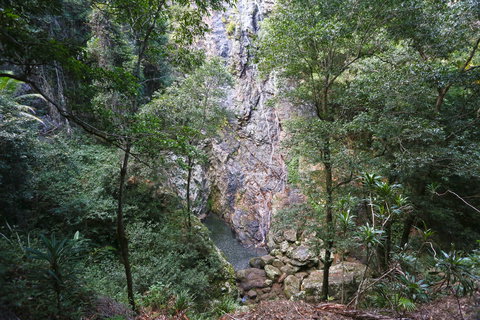 Kondalilla Falls Circuit, Kondalilla National Park - South Australia Travel 0