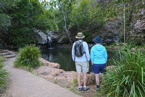 Kondalilla Falls Circuit, Kondalilla National Park - South Australia Travel 1