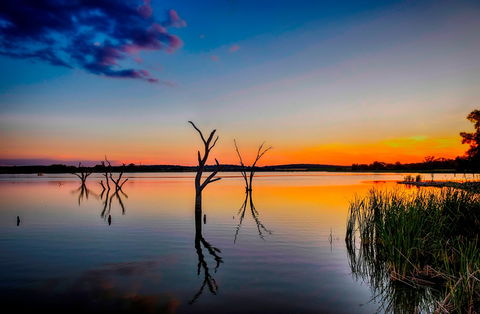 Lake Wyangan - South Australia Travel 0